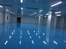 食品廠凈化車(chē)間設(shè)計(jì)